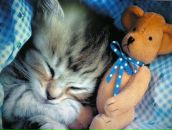 Фотография Лапиной Елены