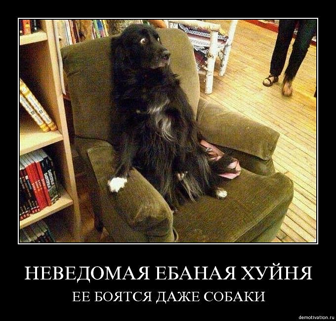 Василий Суслаев фотография #22