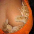 Фотография Гимадеева Тимура