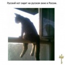 Фотография Миронова Евгения