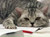 Фотография Евстигнеевой Натальи