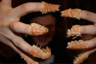 Сева Бугунлей фотография #31 (источник - https://vk.com/id775499)