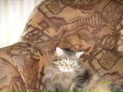 Фотография Дружочек Дахи