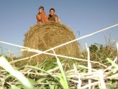 Фотография Валишевская Анастасия