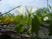 Фотография Реутовой Елены