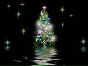 Фотография Ожеговой Екатерины