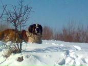 Ростик Романовскій фотография #26 (источник - https://vk.com/id69704455)