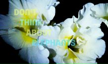 Рустем Гайсин фотография #41 (источник - https://vk.com/id3822511)