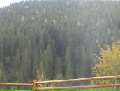 Христина Вівчарик фотография #37 (источник - https://vk.com/id56368437)