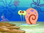 Фотография Сапеги Светланы