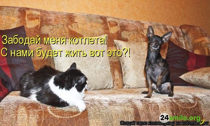 Ivan Vik фотография #21