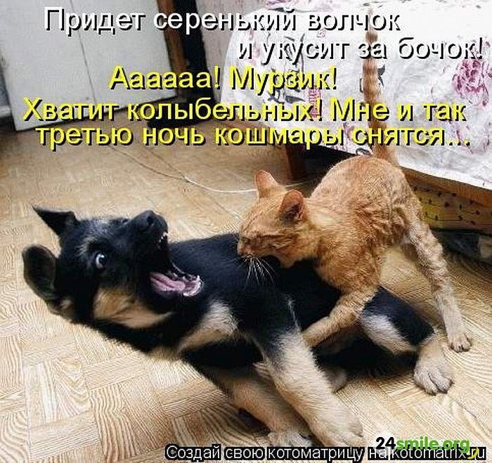 Ivan Vik фотография #23