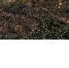 Андрій Винничук фотография #30 (источник - https://vk.com/id160079284)