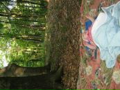 Марія Павлова фотография #44 (источник - https://vk.com/id49552290)