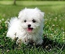 Сашко Остапів фотография #3 (источник - https://vk.com/id163558849)