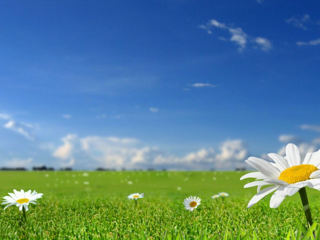 Сергей Новиков фотография #8