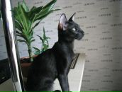 Фотография Киндерова Александра