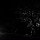 Фотография Волченковой Елены