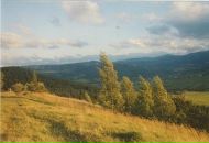 Андрій Струтинський фотография #21 (источник - https://vk.com/id24965568)