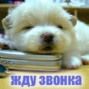 Олександр Маковійчук фотография #17 (источник - https://vk.com/id34389108)