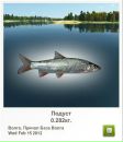 Віктор Камлук фотография #13 (источник - https://vk.com/id162080953)
