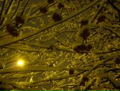 Фотография Юдиной Елены