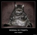 Фотография Максименкова Дмитрия