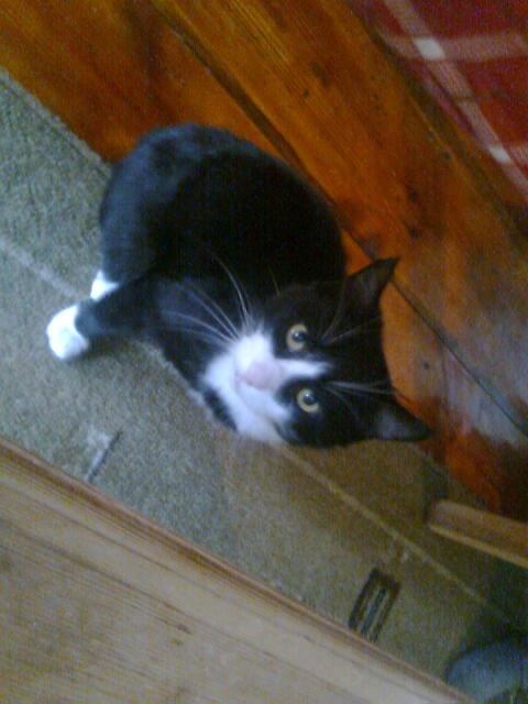 Дима Павлов фотография #3