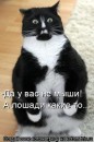 Иришка Венцова фотография #30 (источник - https://vk.com/id4664078)
