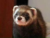 Фотография Калабиной Маши