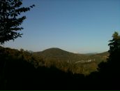 Фотография Александрович Софьи