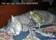 Христина Сенів фотография #40 (источник - https://vk.com/id61154220)