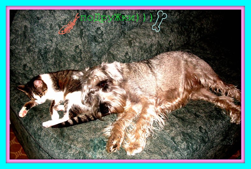 Машеньк@ Сбитнев@ фотография #2