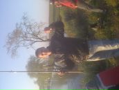 Вітя Олексюк фотография #24 (источник - https://vk.com/id65916376)