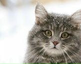 Фотография Шишовой Татьяны