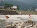 Іван Базюк фотография #20 (источник - https://vk.com/id138529544)