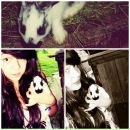 Вероніка Чорновол фотография #2 (источник - https://vk.com/id79004749)