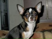 Фотография Кругловой Марины