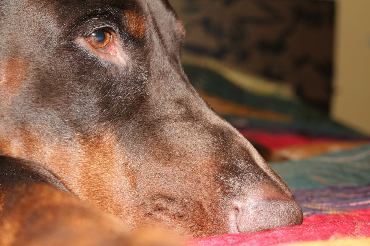 Роман Левковский фотография #37