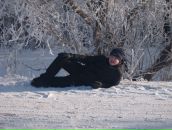 Фотография Геращенко Екатерина