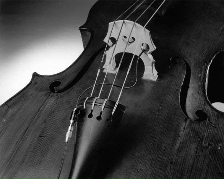 Дмитрий Румынин фото №1