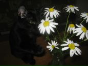 Фотография Емцов Сергей