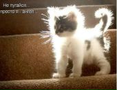 Фотография Череменовой Екатерины