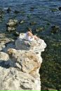 Фотография Луткова Николая