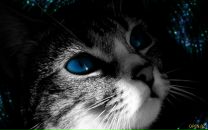 Фотография Катериной Екатерины