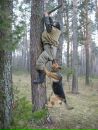 Андрій Красавчік фотография #9 (источник - https://vk.com/id99109467)