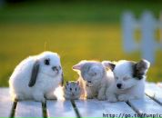 Фотография Пуртовой Аниты