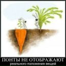 Марія Дудко фотография #18 (источник - https://vk.com/id137418914)