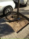 Ігор Пахольчук фотография #39 (источник - https://vk.com/id150317660)