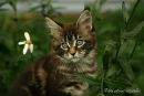 Фотография Горелик Ирины